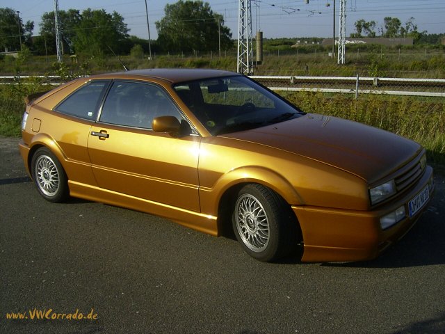 Corrado der Woche - der Goldcorrado